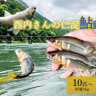 鮮度にこだわり!仁淀鮎★10尾～(冷凍1kg) ★