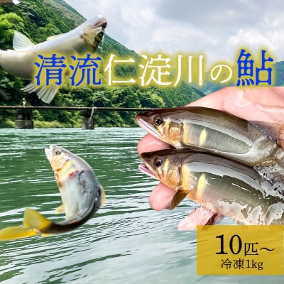 鮮度にこだわり!仁淀鮎★10尾～(冷凍1kg) ★