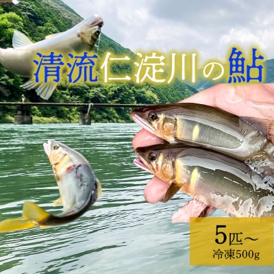 鮮度にこだわり!仁淀鮎★5尾～(冷凍500g) ★