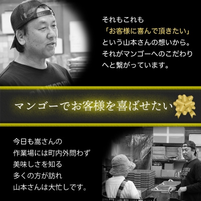 かおる・とろける!土佐マンゴー(2～5個)×2箱