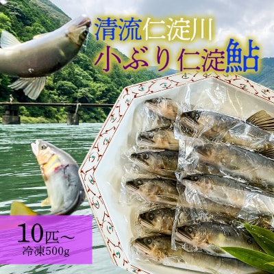 小ぶり仁淀鮎★唐揚げ用途10尾～(冷凍500g) ★