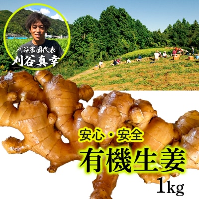 刈谷農園の有機生姜1kg(有機JAS認定取得)