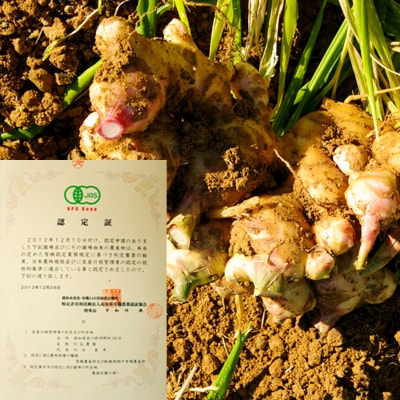 刈谷農園の有機生姜1kg(有機JAS認定取得)