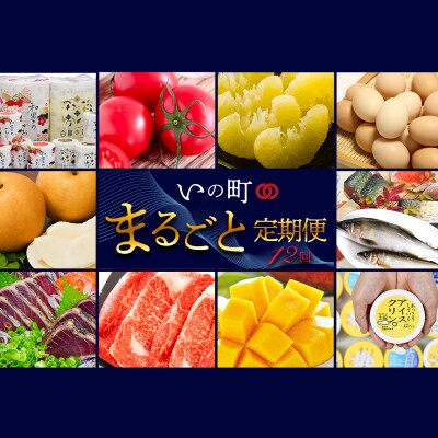 いの町まるごと定期便【12回コース】