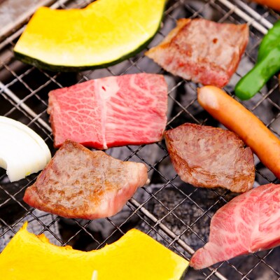 【仁淀川×土佐あかうし】手ぶらでバーベキュー体験プラン
