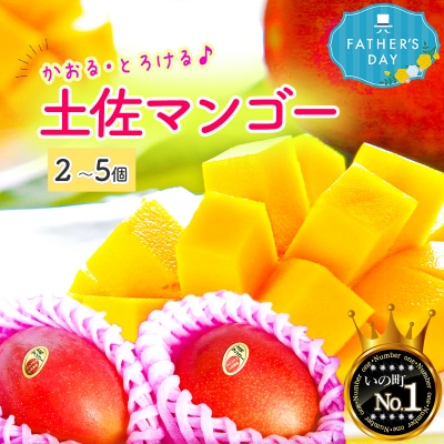 【父の日にお届け】かおる・とろける!土佐マンゴー(2～5個)