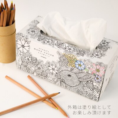 大人の鼻セレブ20箱セット