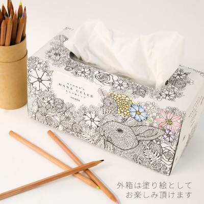 大人の鼻セレブ20箱セット