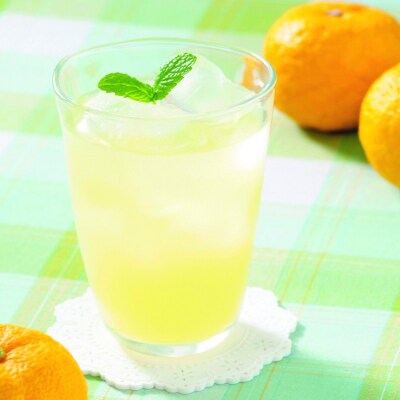 ★敬老の日★高知アイスの無添加ゆずドリンク「希釈用」1L×1本