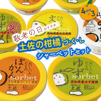 ★敬老の日★高知アイスの土佐の柑橘づくしシャーベットセット(12個)