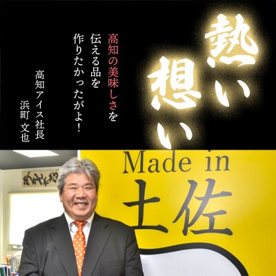 ★敬老の日★高知アイスの土佐の柑橘づくしシャーベットセット(12個)