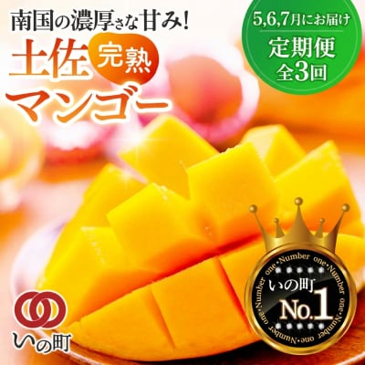 土佐マンゴー定期便【限定300セット】全3回