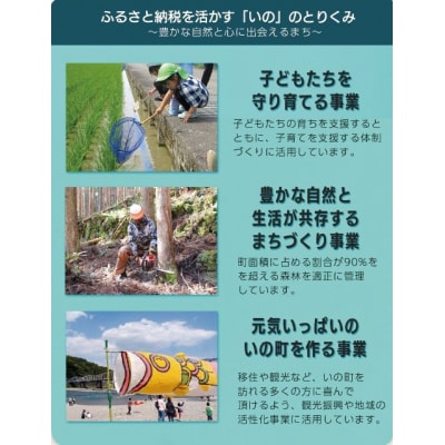 高知県いの町への応援支援寄付(返礼品なし2)