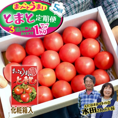 【数量限定】まっことうまい!水田さんのフルーツトマト1kg定期便(3週間ごと/全5回 / 化粧箱)