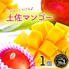 かおる・とろける!土佐マンゴー1個