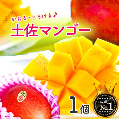 かおる・とろける!土佐マンゴー1個