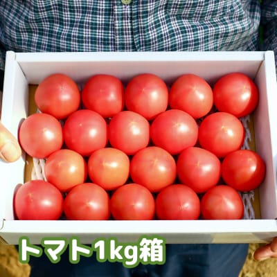 【数量限定】水田さんのフルーツトマト1kg定期便(全3回 / 3・4・5月お届け)