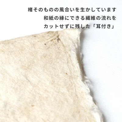 【奏華舎】土佐和紙カード&染紙封筒セット(ボタニカル / アソート3種)