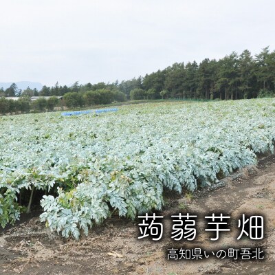 生芋まるごと★ばあの味(いの町産生芋丸こんにゃく5個)