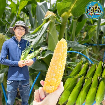 とうもろこし ドルチェドリーム20本