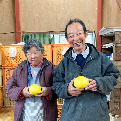 土佐文旦　家庭用5kg(池上果樹園)