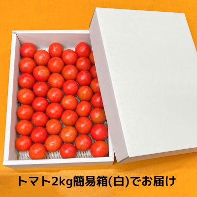 【数量限定】水田さんのフルーツトマト2㎏定期便(全3回 / 2・3・4月お届け / 簡易箱入)