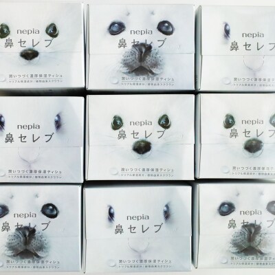 【お歳暮】ネピア 鼻セレブボックスティッシュ (20箱)