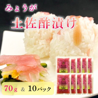 みょうが土佐酢漬け(70g×10パック)