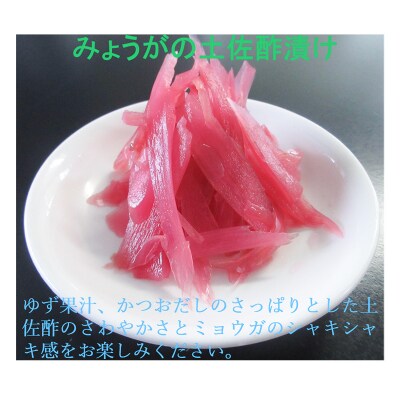 みょうが土佐酢漬け(70g×10パック)