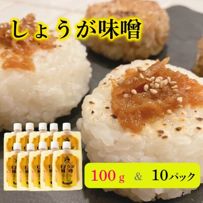 しょうが味噌(100g×10パック)