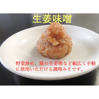 しょうが味噌(100g×10パック)