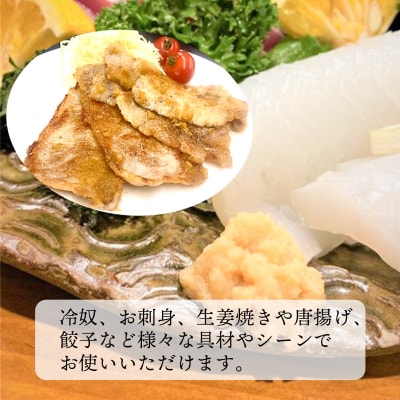 高知そだちのしょうがだけ(50g×10パック)