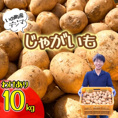 【訳あり】じゃがいも10kg(デジマ)