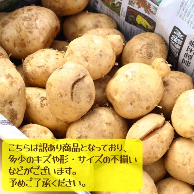 【訳あり】じゃがいも10kg(デジマ)