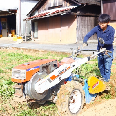 【訳あり】じゃがいも10kg(デジマ)