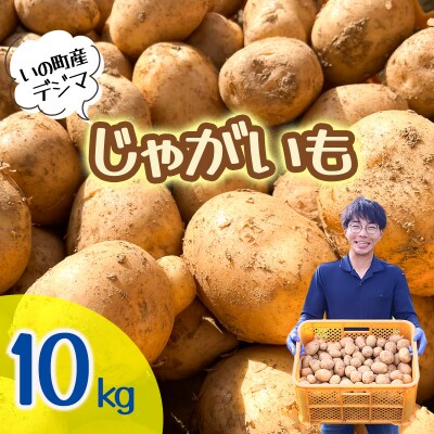 じゃがいも10kg(デジマ)