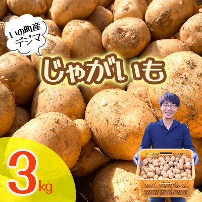じゃがいも3kg(デジマ)
