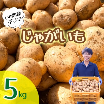 じゃがいも5kg(デジマ)