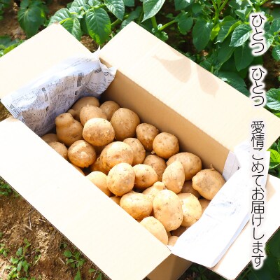 じゃがいも5kg(デジマ)