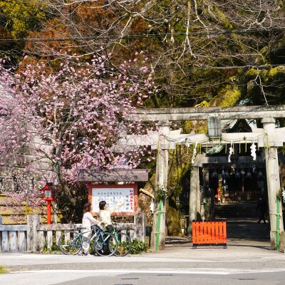 【高知県・仁淀川】いの町レンタルE-BIKE