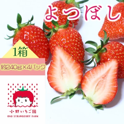 小野いちご園　いちご1箱(4パック)