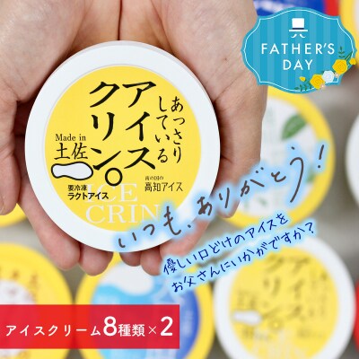 【父の日にお届け】高知アイスの「アイスクリーム」　16個セット(8種類×2個)