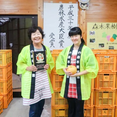 【2026年収穫】森本果樹園の新高梨　2～2.5kg(2～3玉)