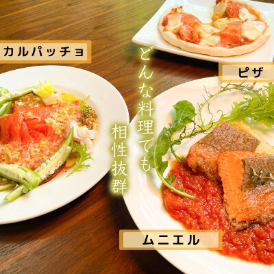 ★お中元★　氷室サーモン400g(200g×2個)