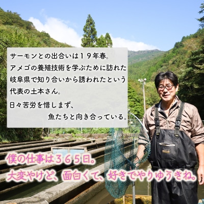 ★お中元★　氷室サーモン400g(200g×2個)