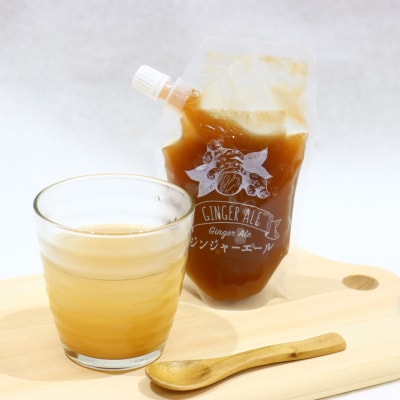 クラフトジンジャーエールの素(200g×3P)