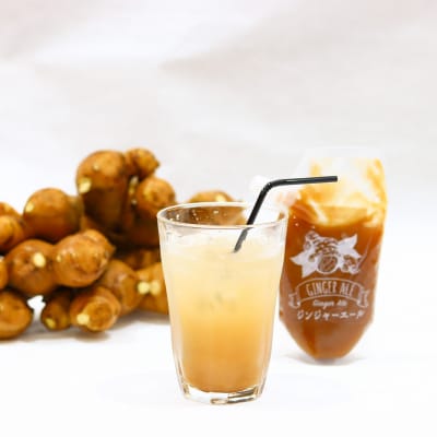 クラフトジンジャーエールの素(200g×3P)