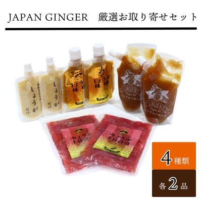 Japan Ginger厳選お取り寄せセット(各種2本)