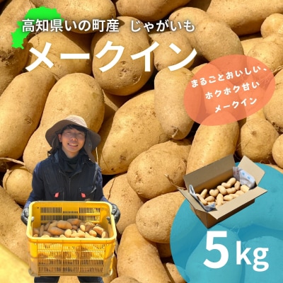 じゃがいも5kg(メークイン)