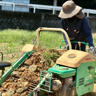 じゃがいも8kg(メークイン)